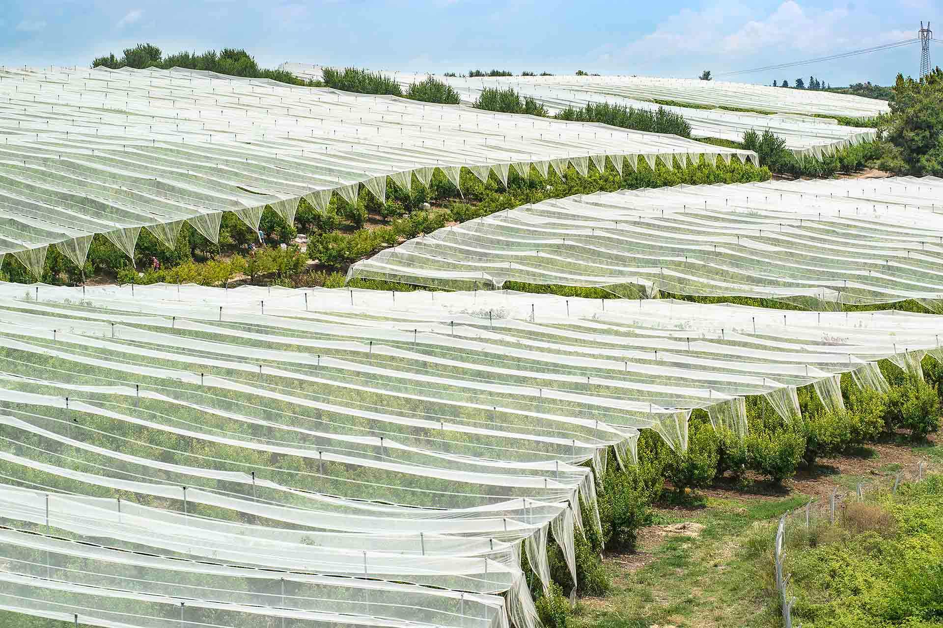 Industrial Textiles – Agricultural and Horticultural